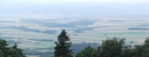 DSCF1847 (Kopiowanie)