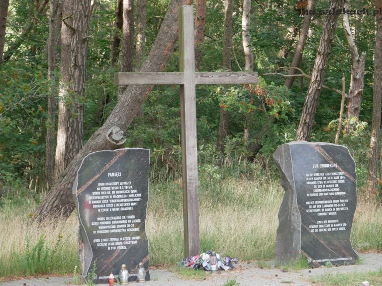 Ofiarom katastrofy lotniczej