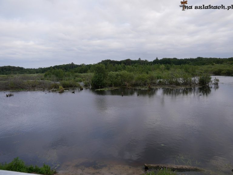 Ekopark Wschodni