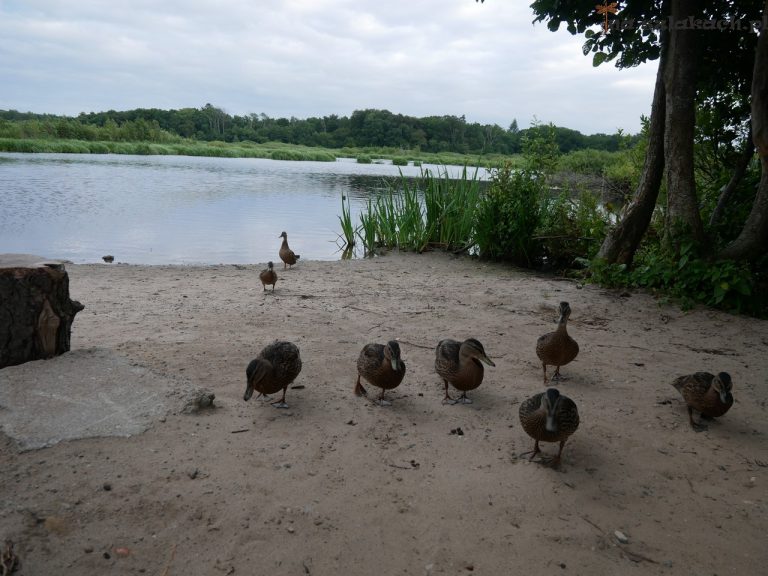 Ekopark Wschodni