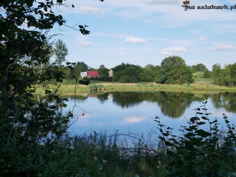 Stawy w okolicy wsi Toporzyk